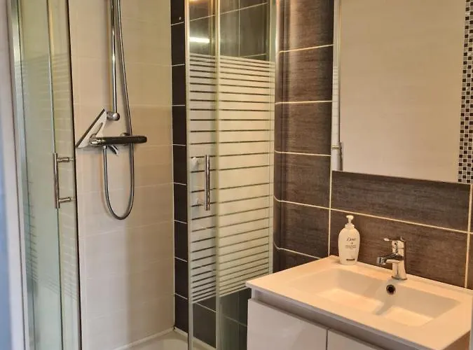 Le Petit Charmeur, Parking, Wifi, Gare 公寓 弗莱尔