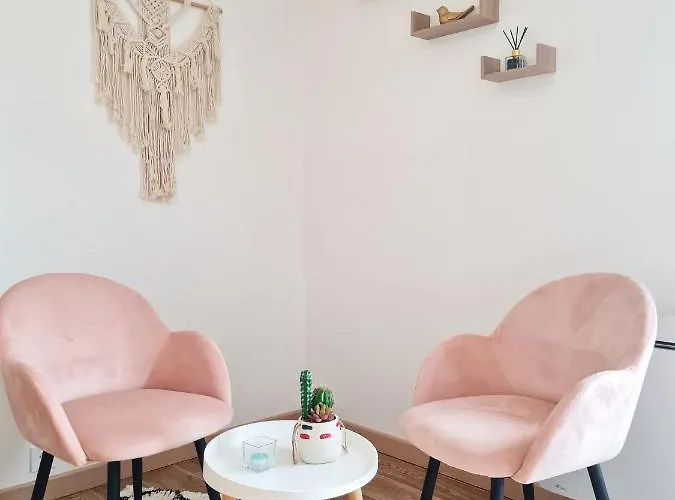 Le Petit Charmeur, Parking, Wifi, Gare 公寓 *